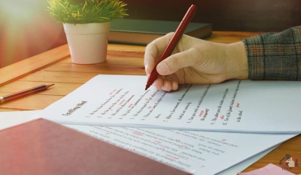 What Makes a Lay Statement So Convincing?